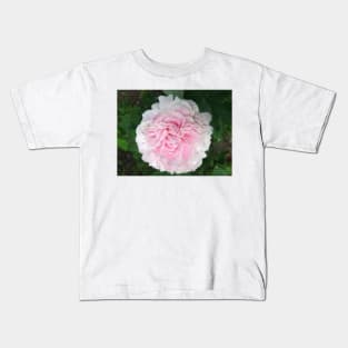 Pale pink Peony photograph Kids T-Shirt